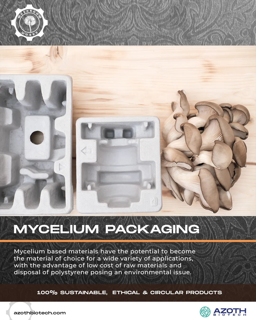 Mushroomworks — post 1 of 14