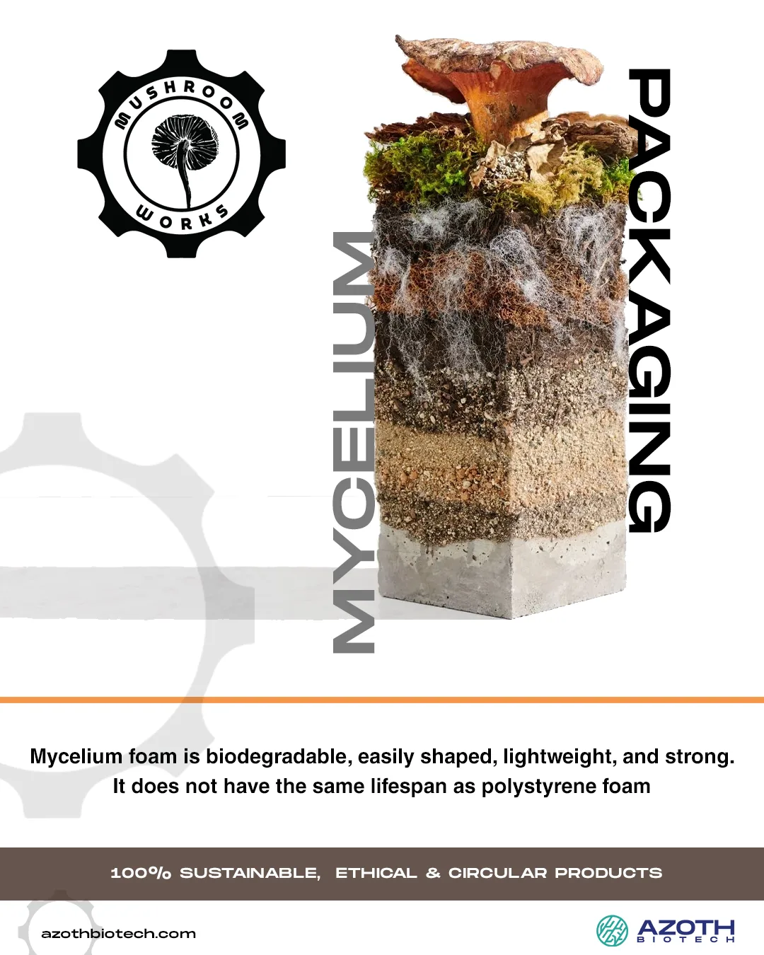 Mushroomworks — post 2 of 14