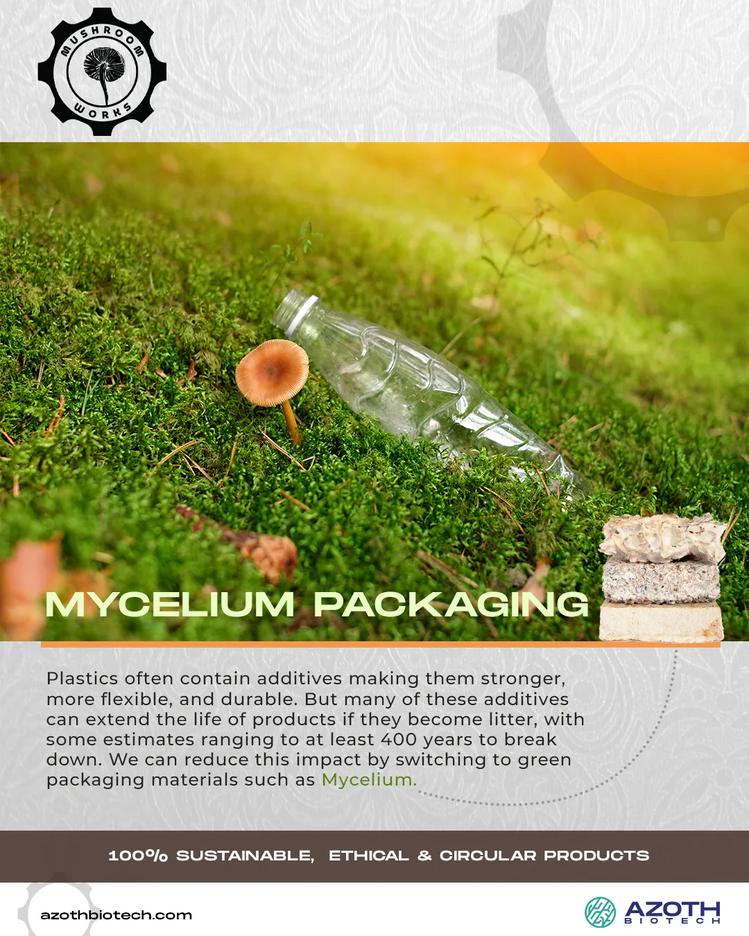 Mushroomworks — post 3 of 14
