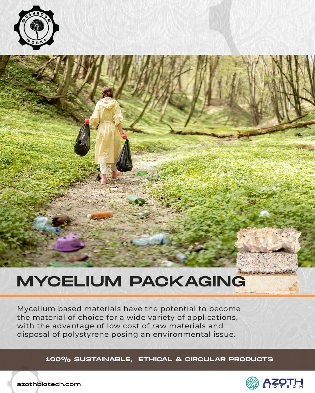 Mushroomworks — post 5 of 14