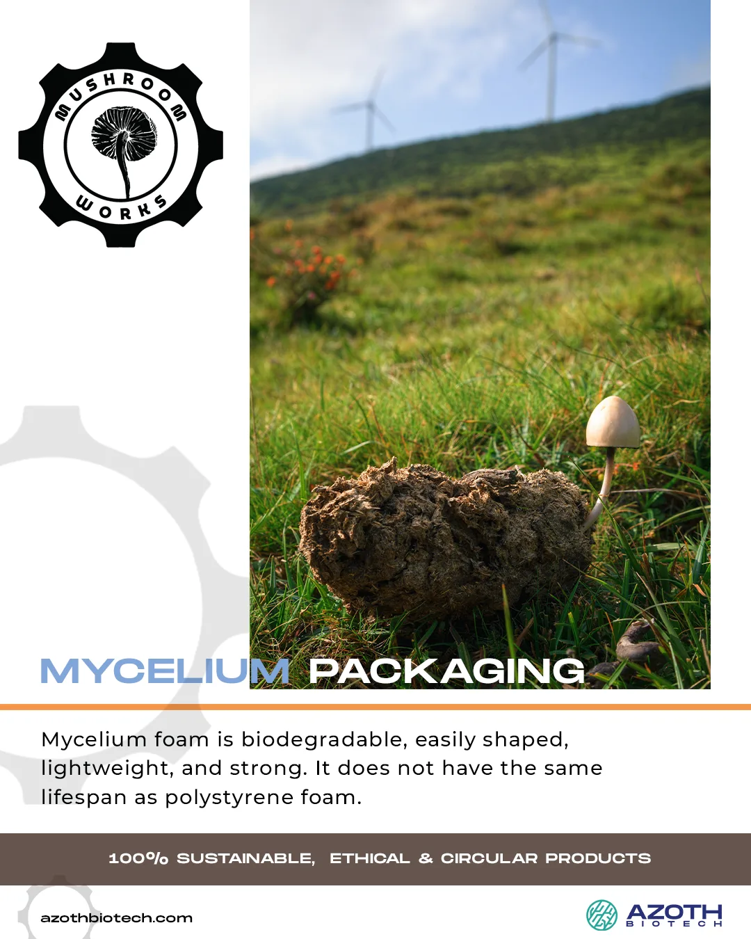 Mushroomworks — post 8 of 14