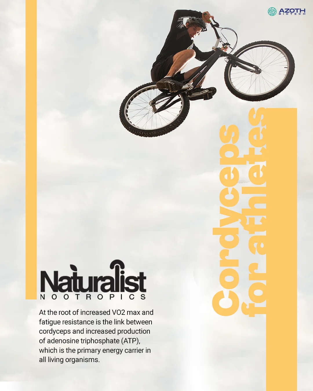 Naturalist — post 12 of 18
