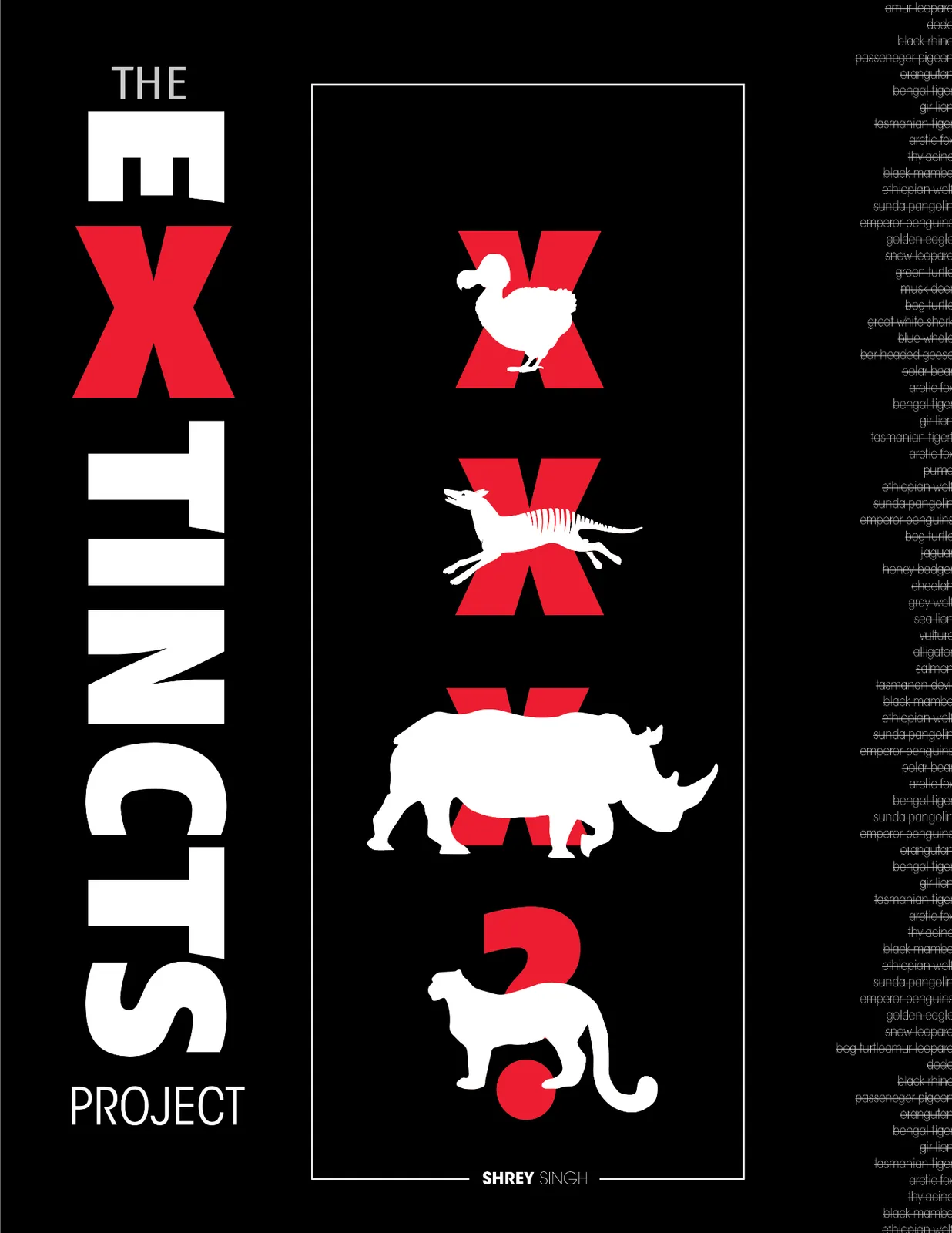 Identifying the problem — report cover